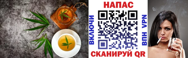 Купить  Злынка  Cannafood конопля 