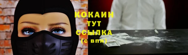 спиды Мегион