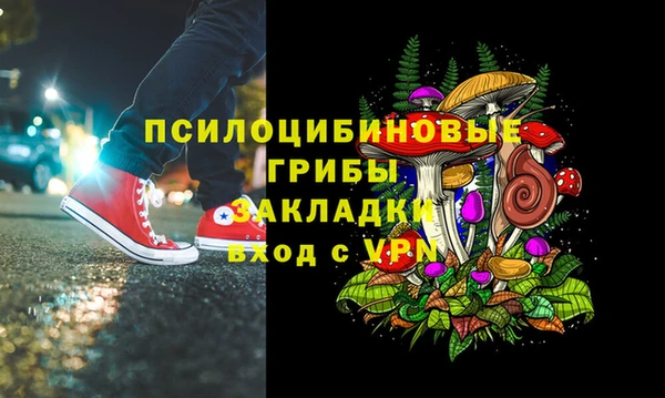 дмт Медвежьегорск