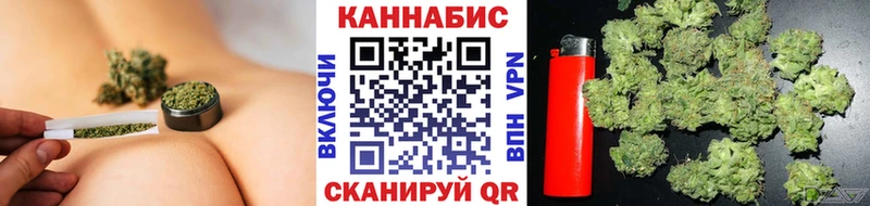 Конопля индика  Купить где  Злынка 